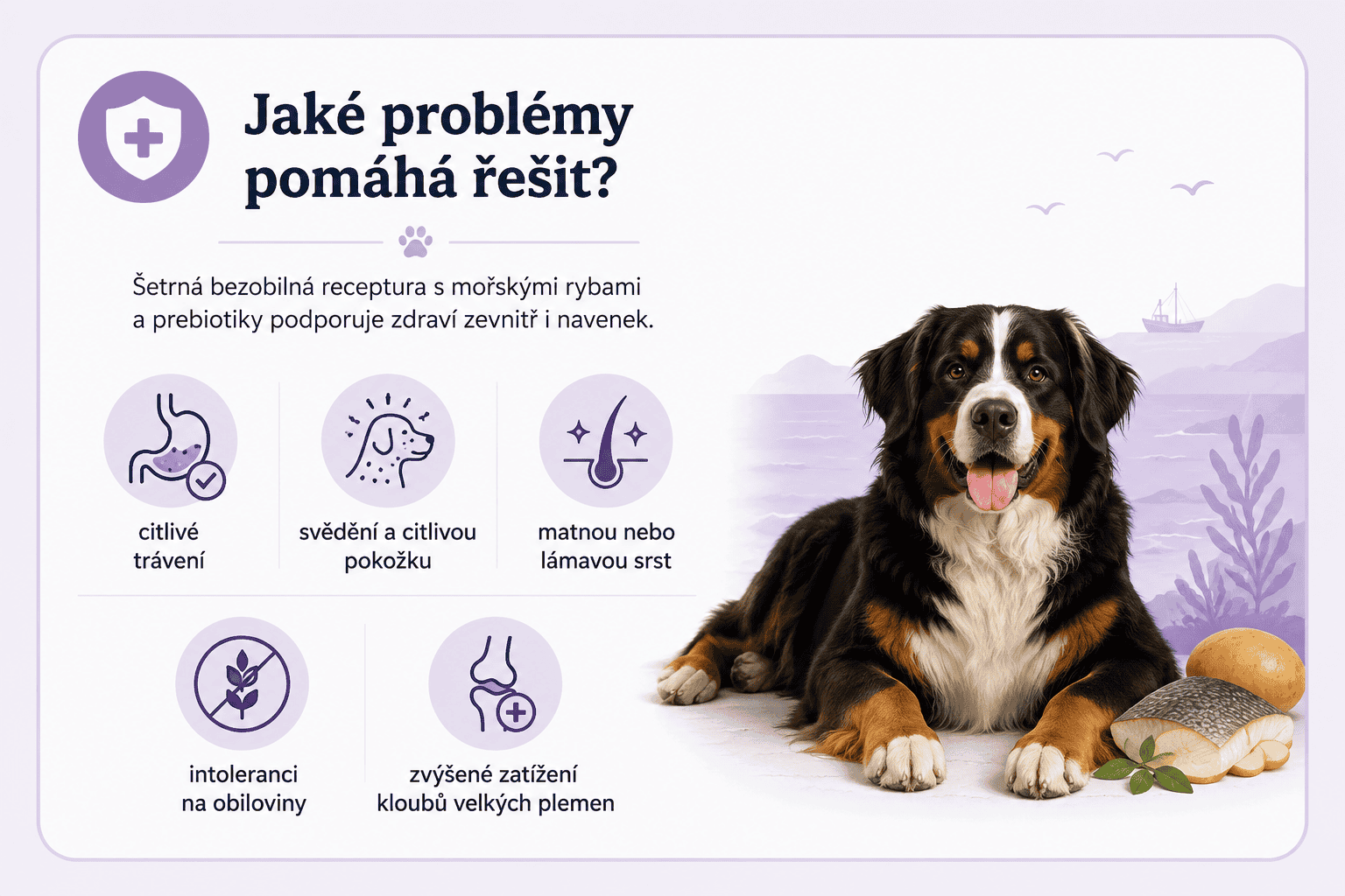 Arden Grange Sensitive Grain Free LB jaké řeší problémy